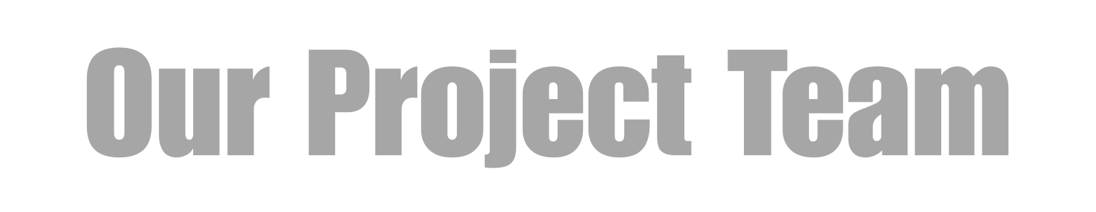 Our Project Team